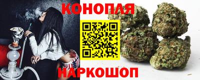 Альфа ПВП Бийск