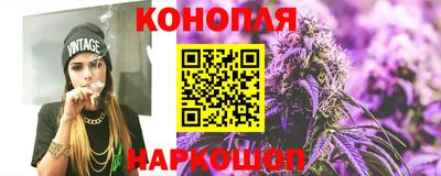 Альфа ПВП Бийск