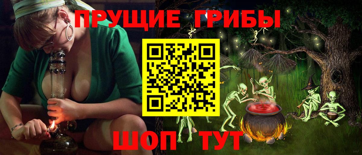 купить наркоту  Псилоцибиновые грибы MAGIC MUSHROOMS  Вход с VPN  Камень-на-Оби 